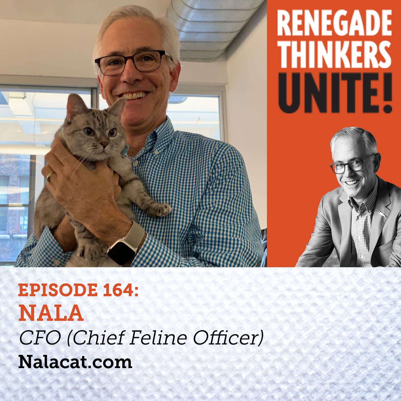 Nala Cat