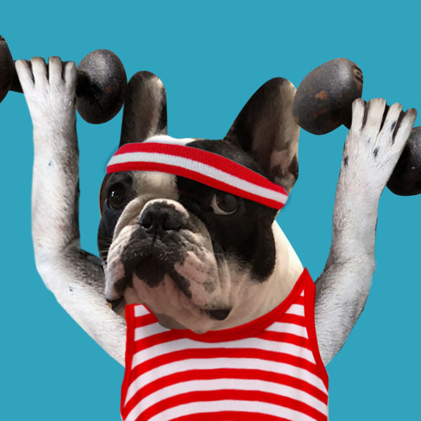 Rebuilding Your Event Marketing Muscles